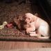 Terry Kraszewski - Facebook