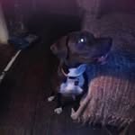 Terry Kratzer - @kratzerterry - Instagram