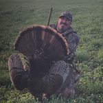Terry Kriegizas - @terrykriegizas - Instagram