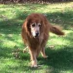 Terry Krupp - @kruppterry - Instagram