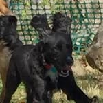 Terry Walsh Krupp - @terrywalshkrupp - Instagram
