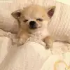 terryku1 - @terryku1 - TikTok