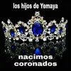 Terry__lacubana - @terry__lacubana - TikTok