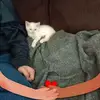 Terry Lacey - @terry.lacey - TikTok