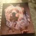 Terry LaDuke - Facebook