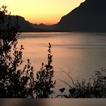 Terry Lafonte - @terrylafonte - Instagram