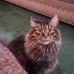 Teresa Gasiewski Lambright - Facebook