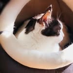 내이름은 테리라구요🐱 - @terry_land_s2 - Instagram