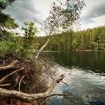 Terry Langley - @terrylangley25 - Instagram