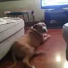 Terry Blantz - @terry.blantz - TikTok