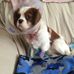 Teresa Laplante - Facebook