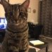 Theresa LaPlante - Facebook