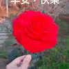 Terrylivinglarge - @terrylivinglarge - TikTok