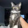 Nick - @terrylarrybarry - TikTok