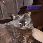 Terry Lasko - @tnt11164 - Instagram