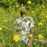 Terrence Lathan - @amindwithnoceiling - Instagram