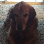 Terri Lawler - @lawlerterri - Instagram