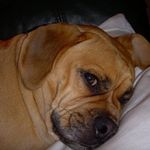 Terry Lawler - @terry.lawler.754 - Instagram