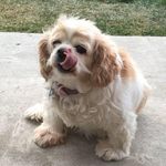 Terry Lawler Stem - @terry.stem.1 - Instagram