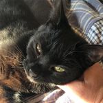 Terry Layton Montgomery - @tmonty98 - Instagram