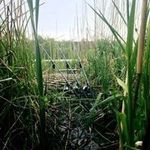 @terrylearn - Instagram