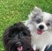 Teresa Stottsberry-Leasure - Facebook