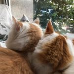 Terry Leech - @terryleech - Instagram