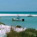 Terrye Latham - Facebook