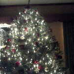 Terry Leeds Weithorn - @tlw1385 - Instagram