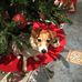 Terry Leek - Facebook