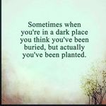 Terry Leeson. (Smith) - @leesonterry989 - Instagram