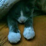 @terrylehr - Instagram