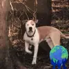 Terry Klecka Leitner - @terrykleckaleitner - TikTok