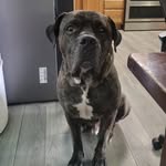 Terry Lemley Davis - @tslcasper7 - Instagram
