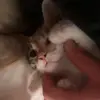 Lennox Terry - @lennox.terry - TikTok