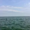 Terry Lennox - @terry.lennox - TikTok