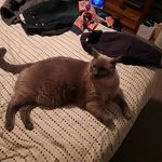 Terry Lenz - @terrylenz806 - Instagram