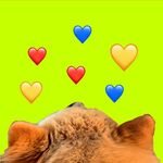 Terry Lima - @terryleoncito - Instagram