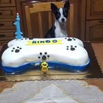Le Torte Di Terry - @letortediterry - Instagram