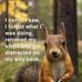 Terry Leu - Facebook