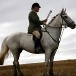 Terry Leyden - @terryleyden - Instagram