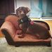 Terri Libby - Facebook