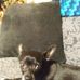 Terry Libby - Facebook