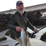 Terry Sidelinger - @terrysidelinger - Instagram