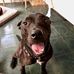 Terry Lingo - Facebook