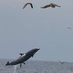 Terry Link - @tdawg44444 - Instagram