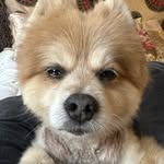 Terry - @terry_link_ - Instagram
