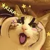 TerryLink - @terrylink - TikTok