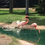 Teresa Maciel - @terry.litchfield.1447 - Instagram