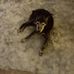 Terence Lofthouse - Facebook